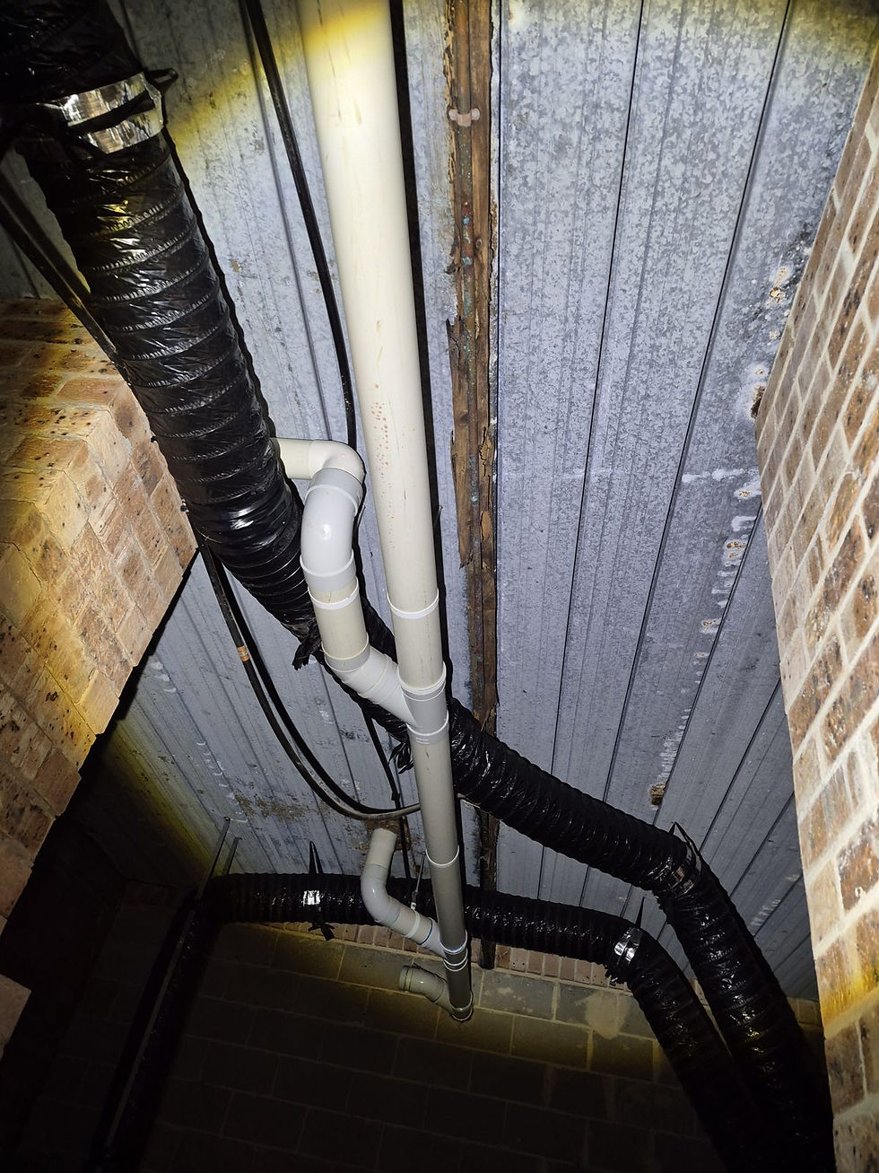 Roof void termite inspection - Central Coast - Smash Pest Control