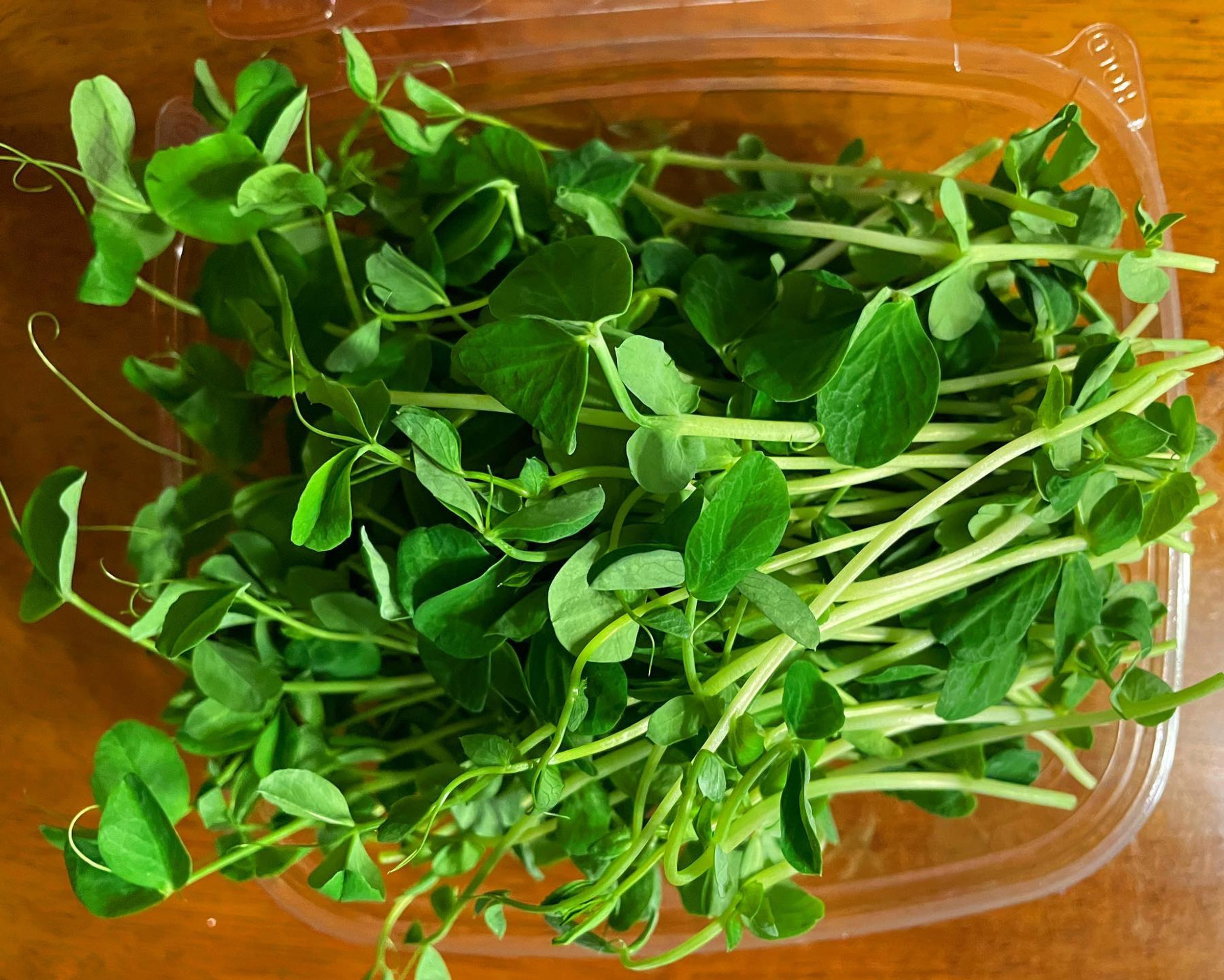 Microgreen Healthier Foods microgreen-healthier-foods