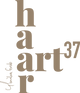 Logo_HaarArt27_braun.png