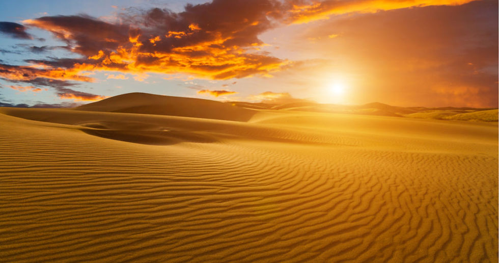 Sahara_pic