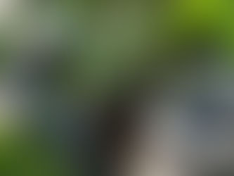 סלט חצילים מטוגן מזויף!