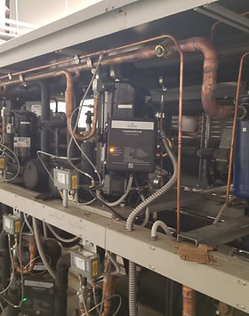 WhatsApp Image 2025-07-24 at 1.38.42 PM.jpeg