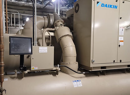 WhatsApp Image 2025-07-24 at 1.38.17 PM.jpeg