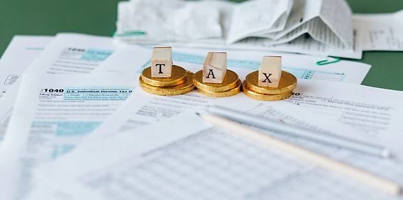 Professional Tax.png