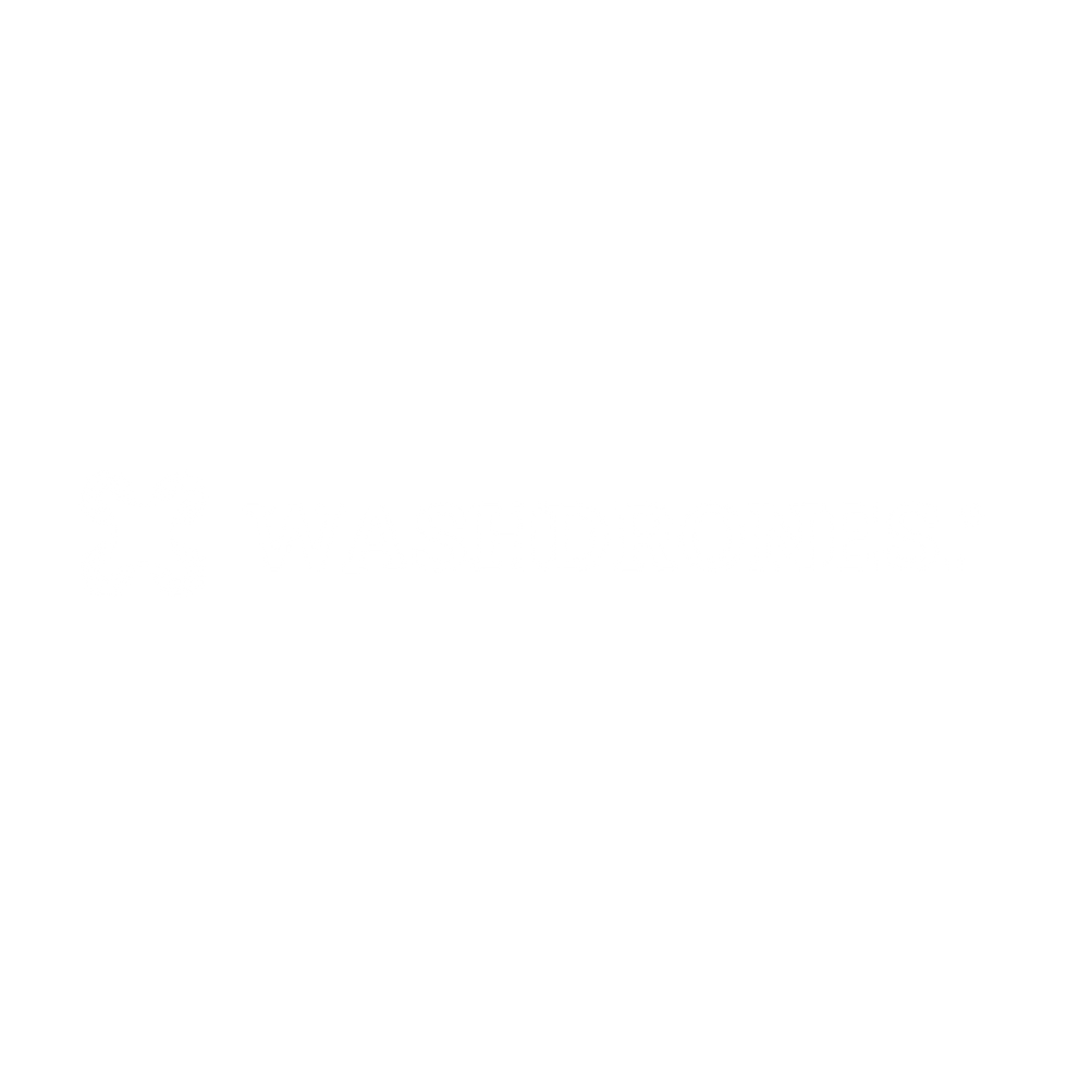 Washdrones-logo-white-trademark_1 (1).png