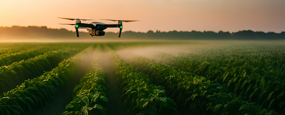 Screenshot (569).png