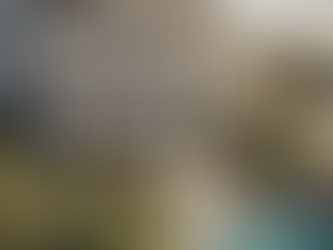 Explore Apex Escapes: Your Premier Vacation Home Management Solution