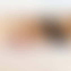 Introducing Gracie and Raider’s litter of 9!