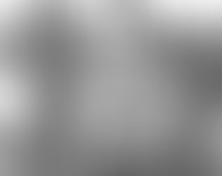 Introducing the 111th NY Volunteer Infantry Regiment of the Union Army in the War of the Rebellion, 1862