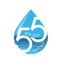55ann_logo.png