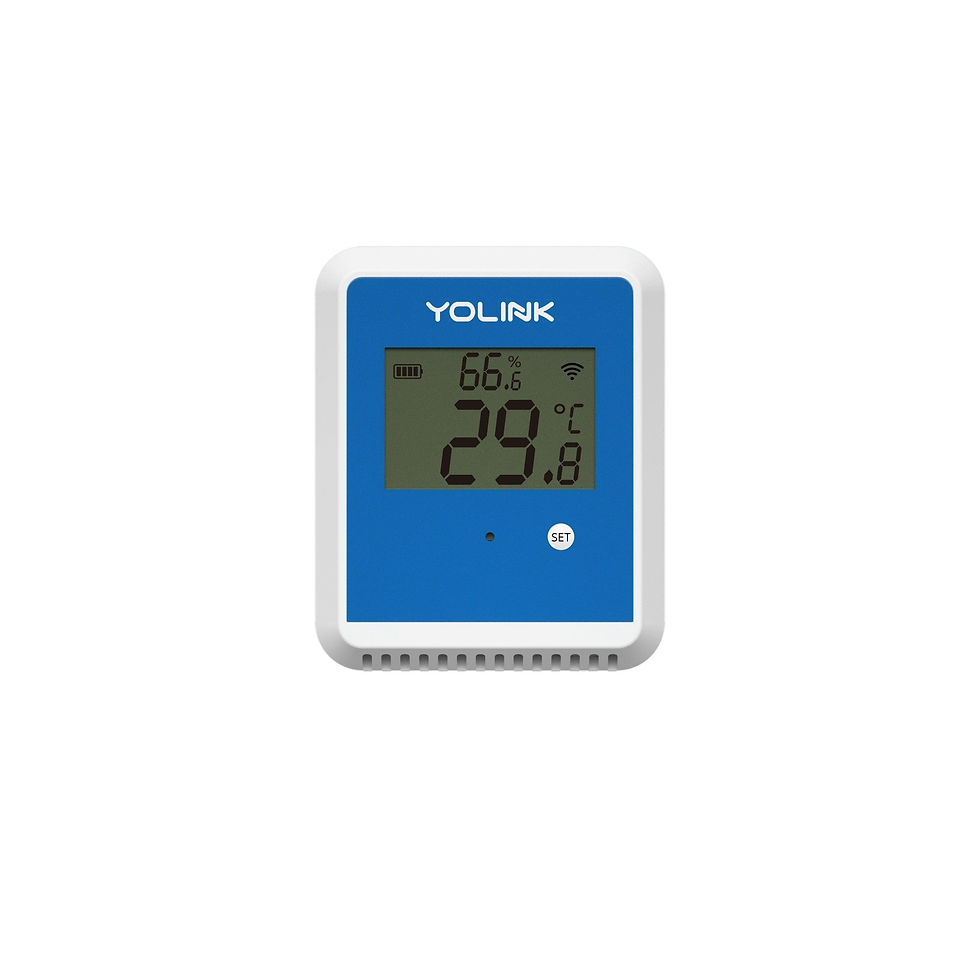 YOULINK digital thermometer displaying 29.8 degrees