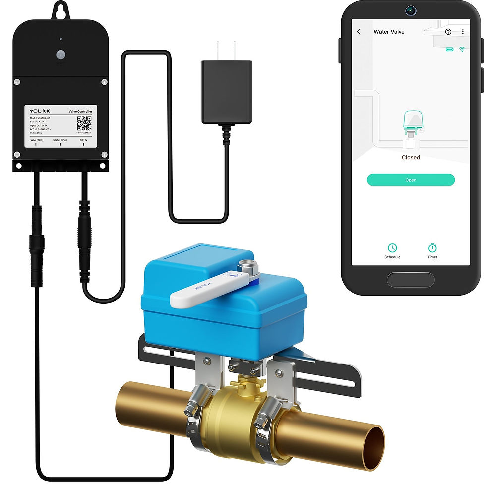 Smart water valve system with app control