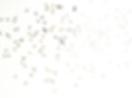 etoile10_edited.jpg