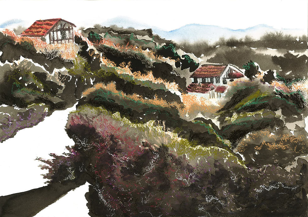 'Pays Basque #2'