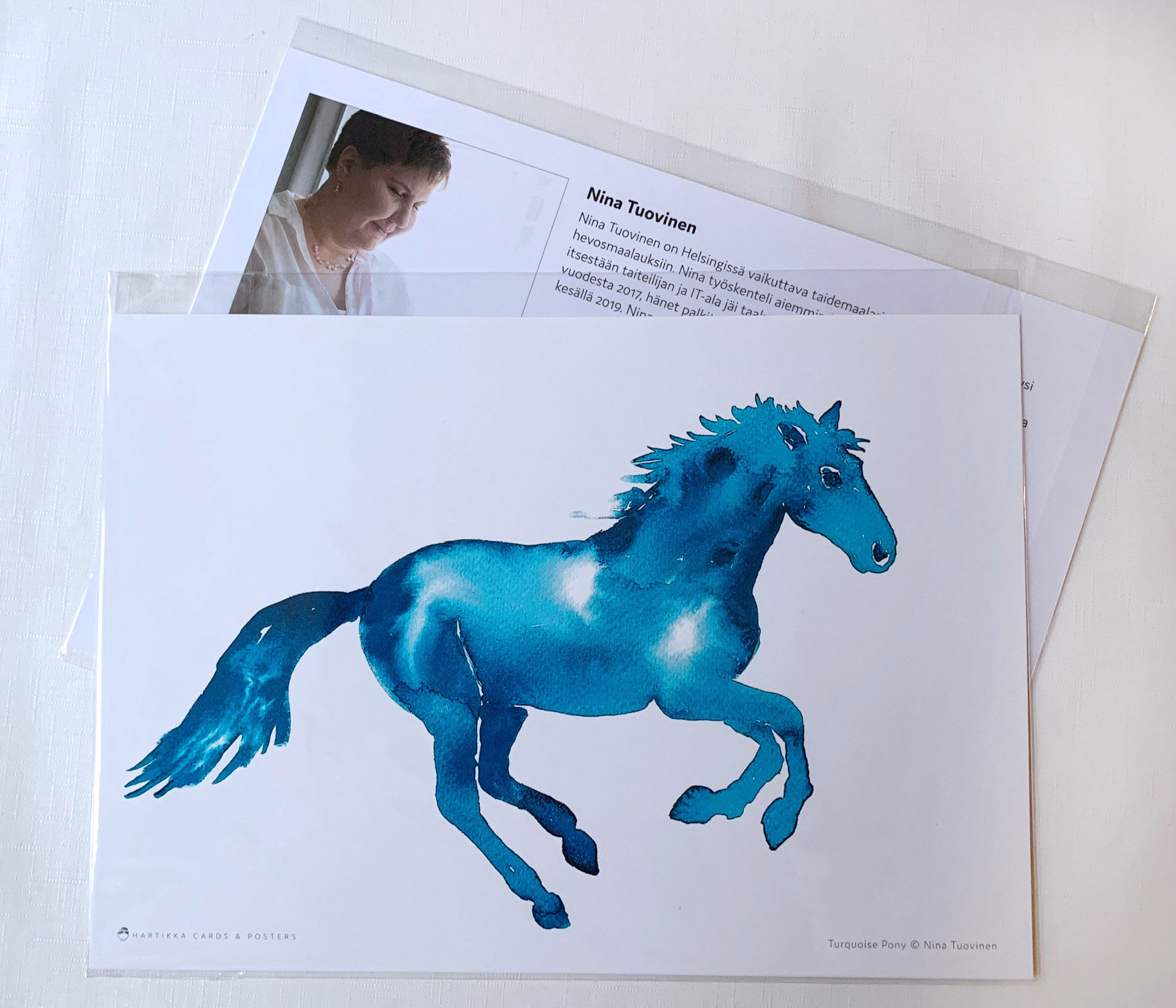 Turquoise Pony - A4 Print