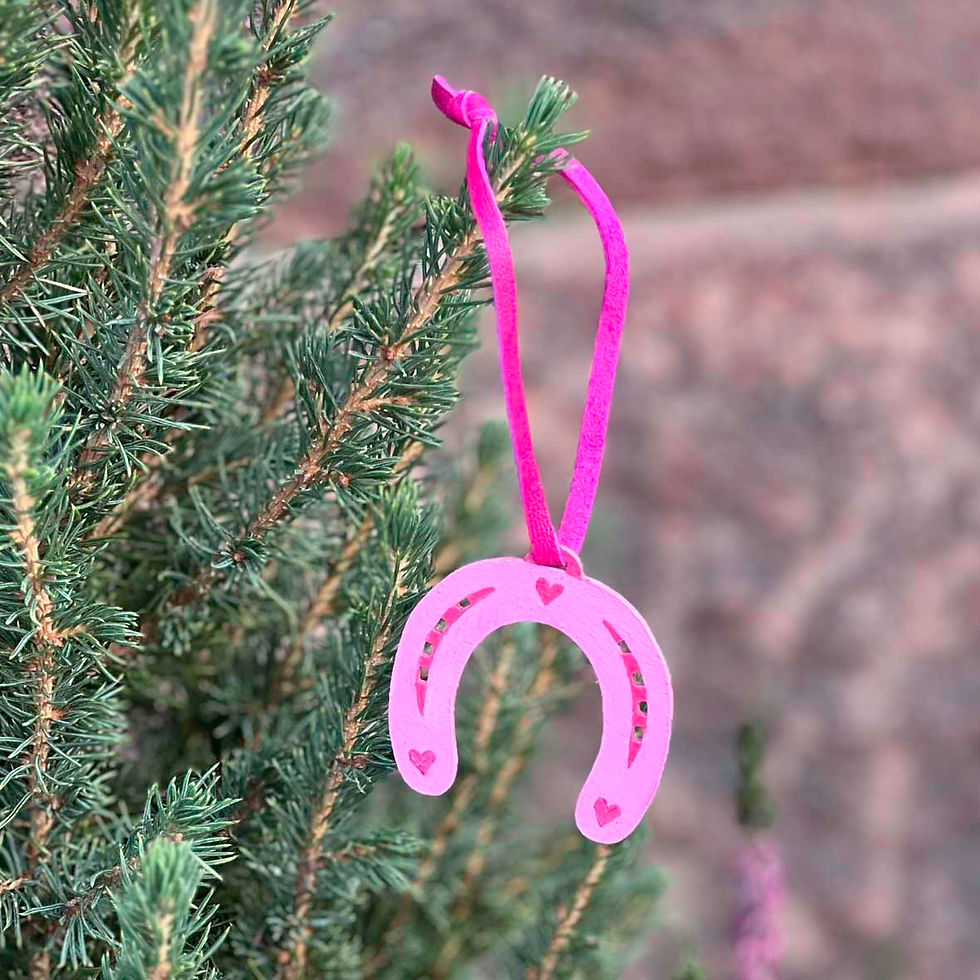 Hevosenkenkä-koriste, pinkki - FennEQ