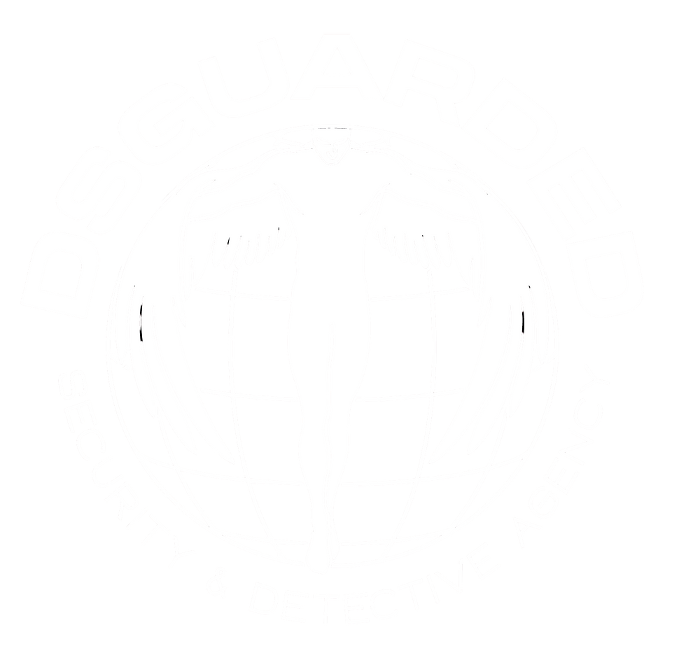 DSguarded Sicherheitsdienst Logo.png