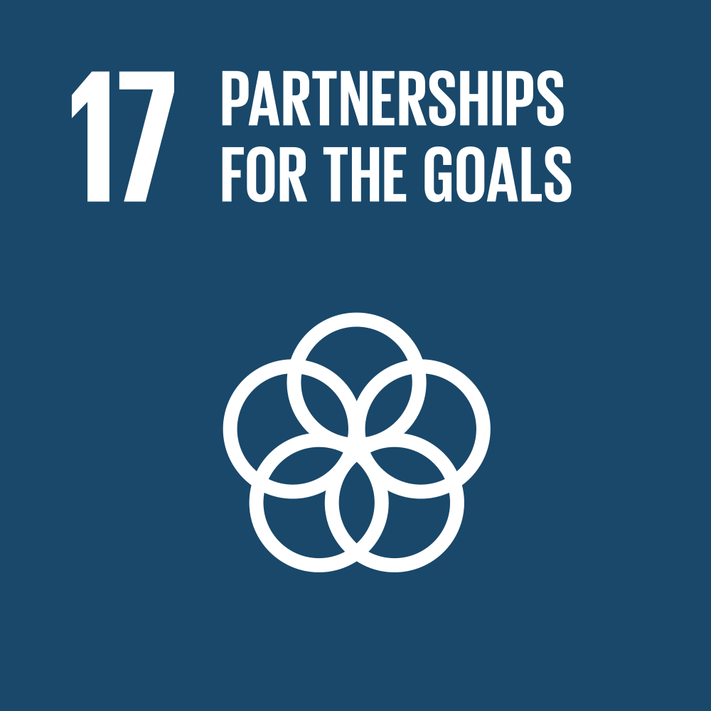 SDG17 Partnerships for Goals