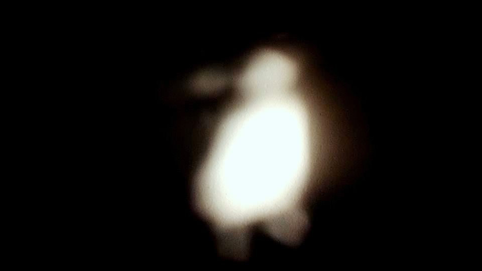 « Immersion II », photographie numérique, 80cm x 60cm, 2013. « Phao I », photographie numérique, 80c