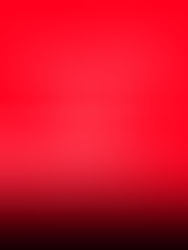 Résolutions de la 1ere Session du Comité Centrale SWAUTI