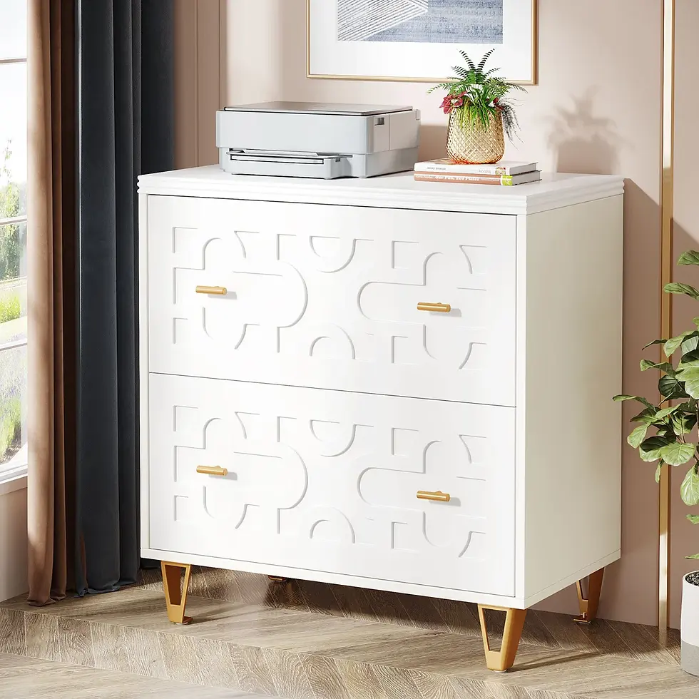 2-Drawer Lateral File Cabinet, Modern Filing Cabinet