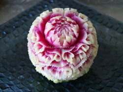 190220watermelonradish