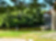 banner5_edited.jpg