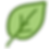 yaprak