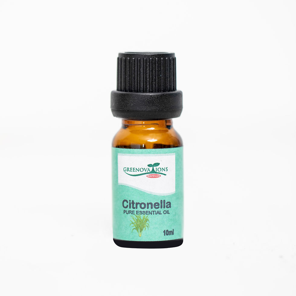Citronella Pure Essential Oil