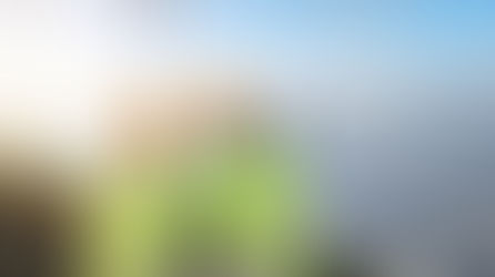 Limpeza Solar A Maior e Mais Bem Conceituada Franquia de Limpeza Solar de Todo o Brasil