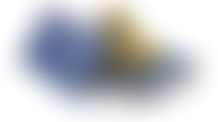 A Franquia da Limpeza Solar Chegou em Altamira - PA