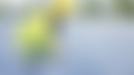 Abra uma Franquia de Energia Solar com a limpeza Solar que é Líder no Setor de Limpeza