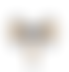 Escova De Limpeza Solar Escovas Duplas Motor Brushless 3.5m / 5.5m / 7.5m