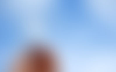 A Limpa Solar apoia franqueados com suporte de marketing