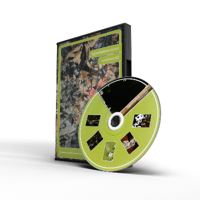 51TWMgbjGnL__AC_SY445_DVDcase.png