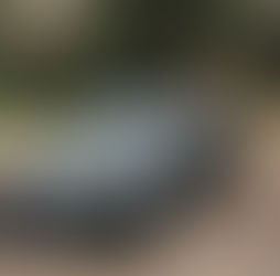 Rechtsanwalt Besitzstörung Dr. Simon Harald Baier