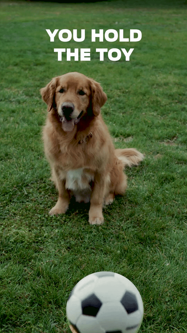 PURINA SOCIAL - HOLD - 06 GIF 600px.gif