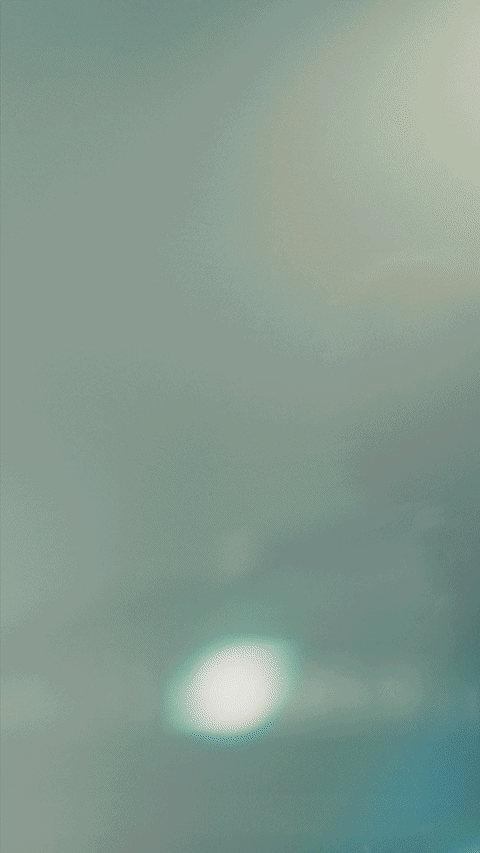 PURINA SOCIAL - WARMUP - 10 - alt alt track.gif