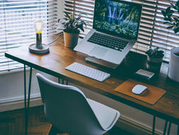 Digital Wellness