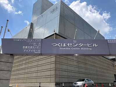 IMG_6304.jpeg