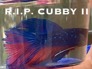 Cubby II's Gone to Glory