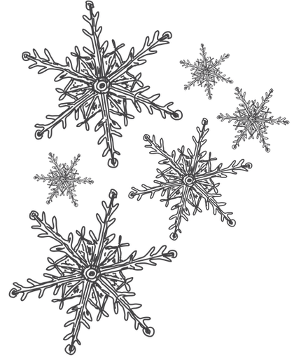 The Swan Winter Illustrations_edited.png