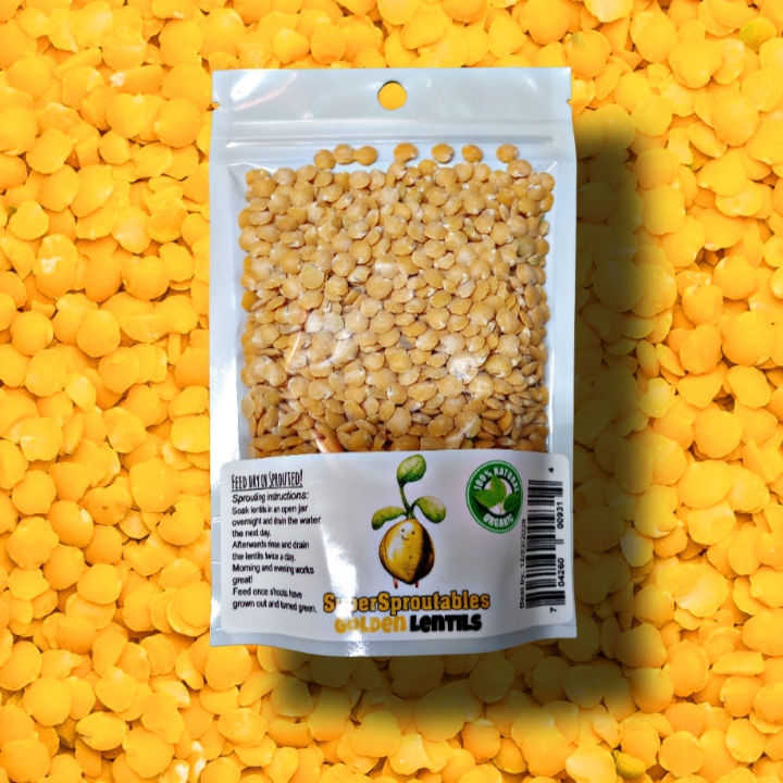 Golden Lentils by SuperSproutables.com