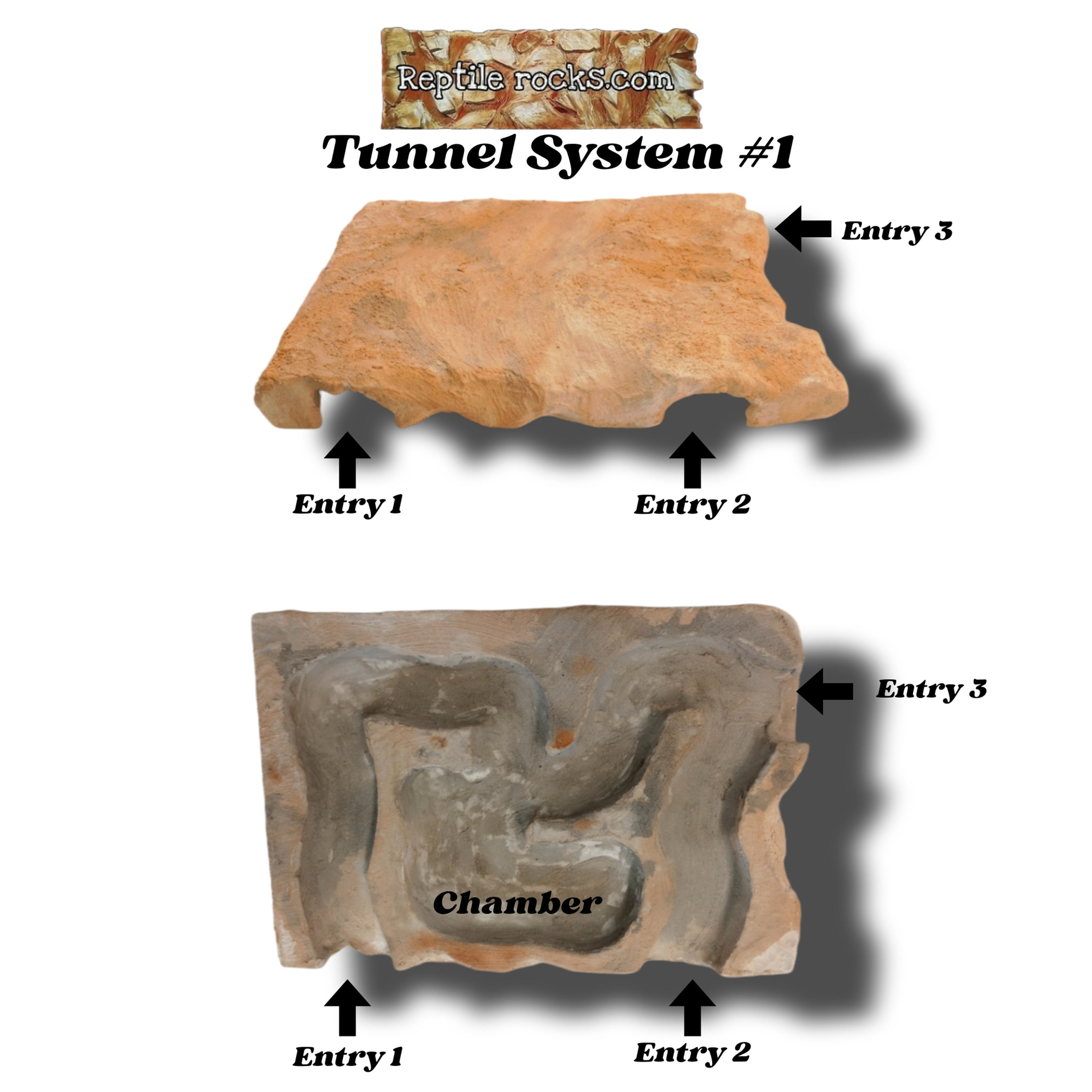 Tunnel System #1 (10 colors! 2 Sizes!) by ReptileRocks.com