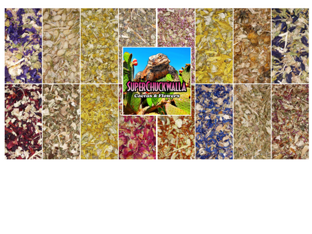 Brand new edible flower mixes... WITH CACTUS by SuperChuckwalla - Available now!!!