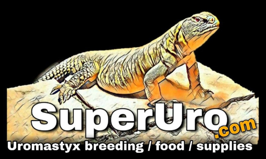 es.superuro.com