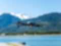 drone over lake.jpeg