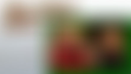 Day 10 - Matthew 1:18-19 [DIGITAL ADVENT CALENDAR]