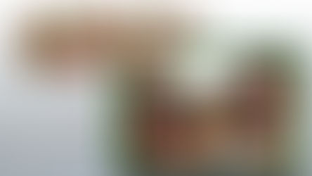 Day 11 - Matthew 1:20-25 [DIGITAL ADVENT CALENDAR]