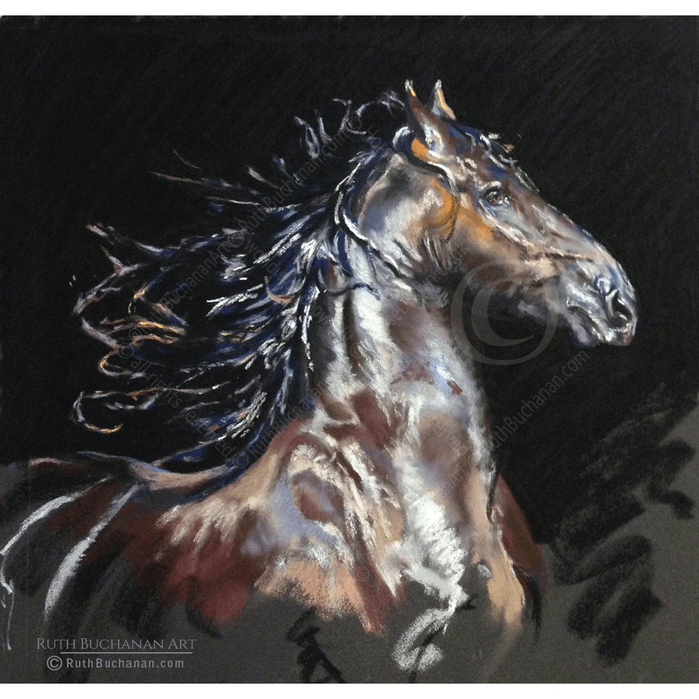 Rainbow In Black - Open Edition Print